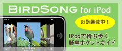 Birdsong for iPod