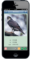 野鳥の鳴き声図鑑