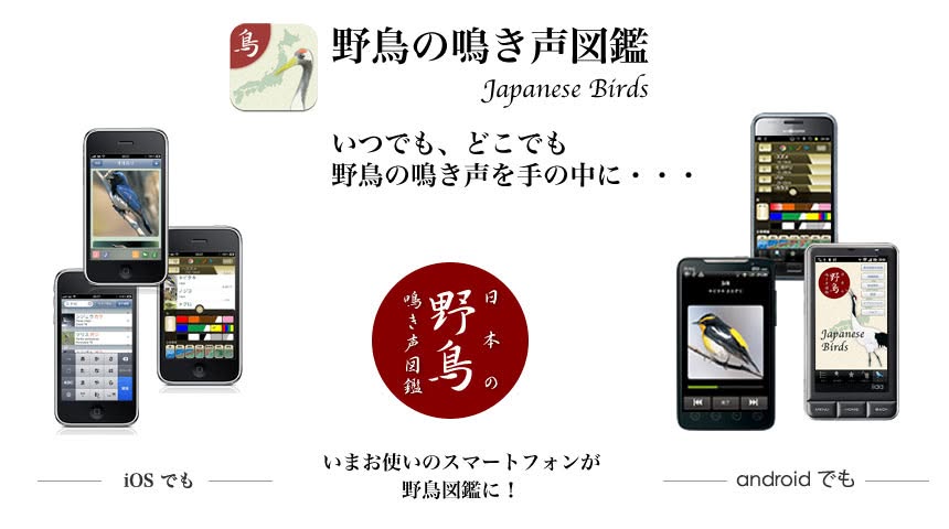 野鳥の鳴き声図鑑 1.4.1 をリリース