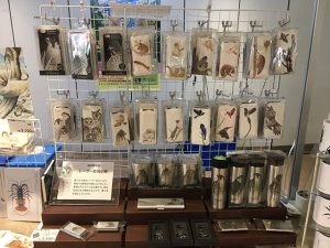 ポップアップストア@吉祥寺駅