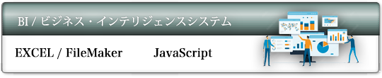 BIシステム開発