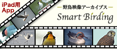 iPad AvuSmartBirding`쒹fA[JCuX`v