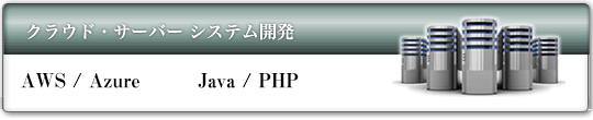 サーバ・クラウド アプリケーション開発
