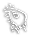 Enwit Logo
