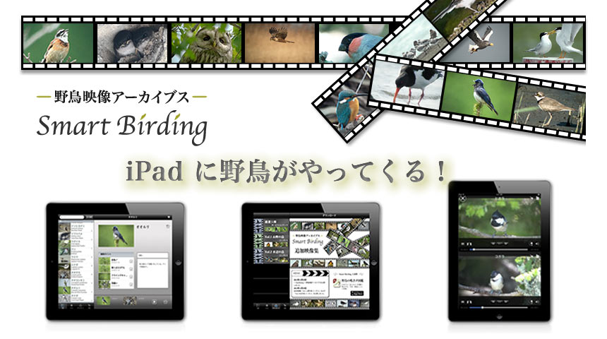 SmartBirding