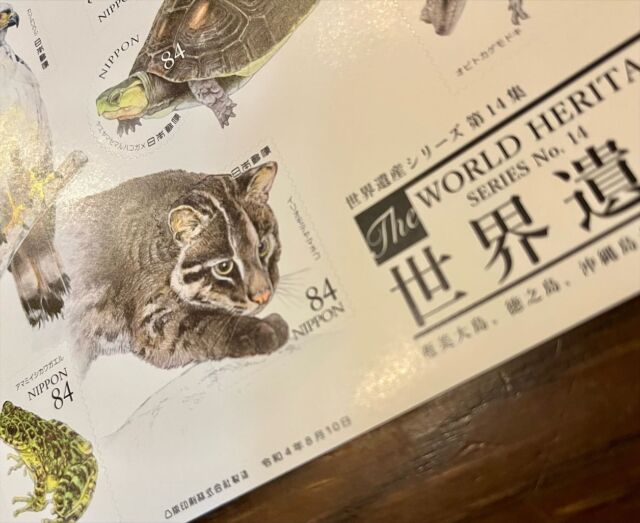 久しぶりに郵便窓口に行ったら...こんなん知らなかった〜😆

迷わず2枚ゲット!

いつもポスト📮で済ませちゃうけど、たまには中に入ってみるものですね😊

#記念切手シート 
#世界遺産 
#動物画
#細密画
#いきもの 
#生き物アート